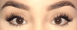 Permanent eyebrow